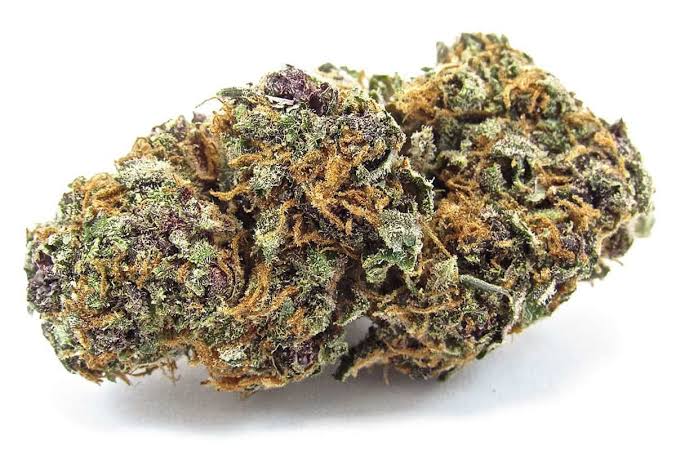 Buy Forbidden Fruit Marijuana Strain