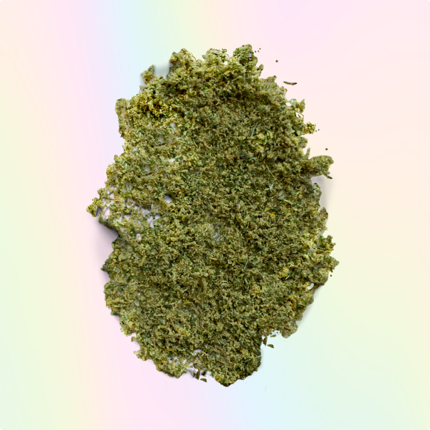 Kief