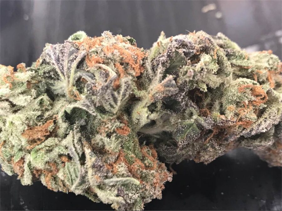 Hindu Kush Cannabis Strain UK