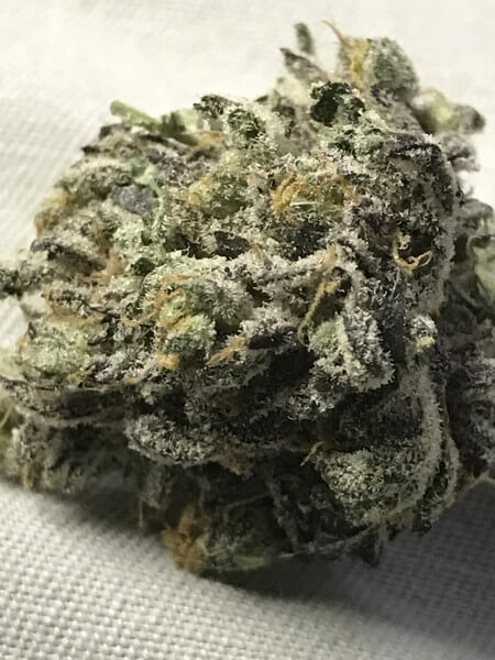 Magnificent Mile Cannabis Strain