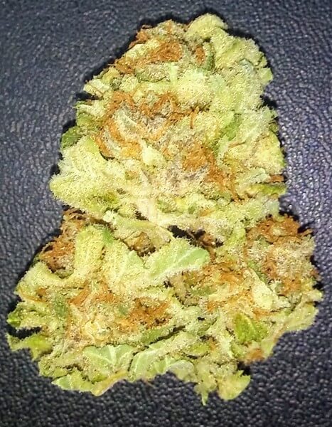 Trainwreck Weed Strain UK