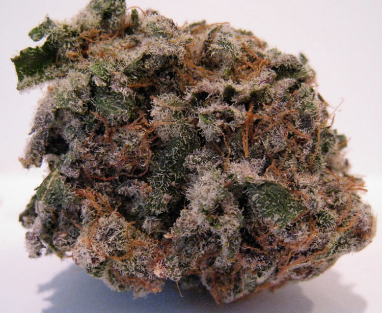 Blackberry Marijuana Strain UK