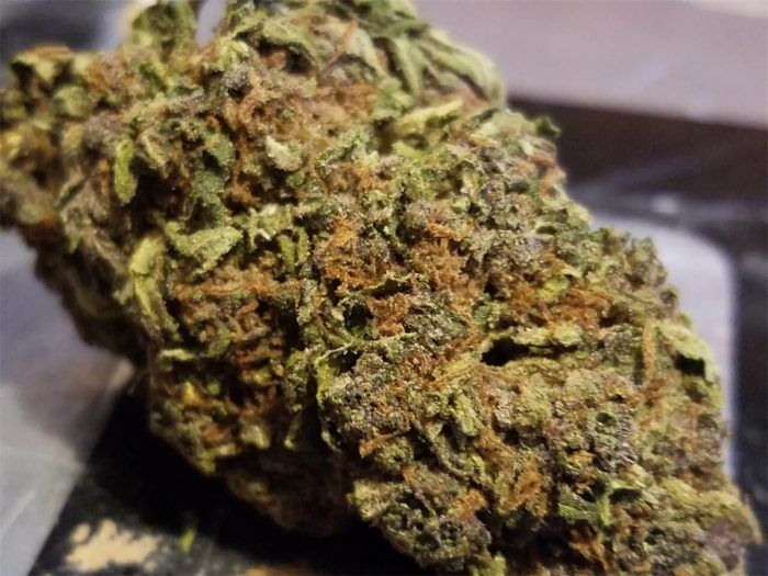 Dark Star Marijuana Strain