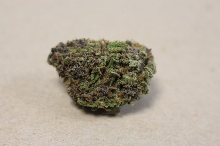 Dr. Grinspoon Cannabis Strain