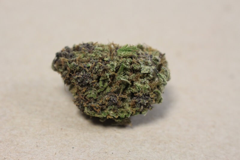 Dr. Grinspoon Cannabis Strain