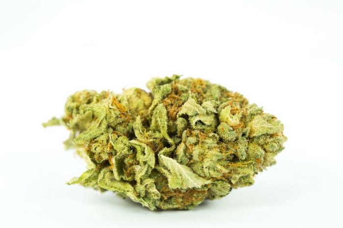 Blueberry Cough Marijuana Strain