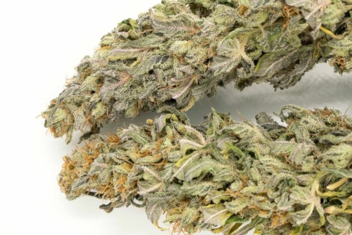 Zambian Copper Cannabis Strain