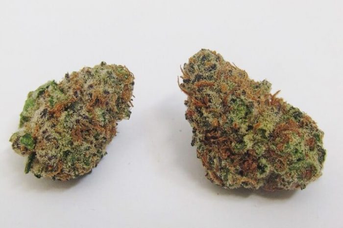 Cream Mandarin Marijuana Strain UK