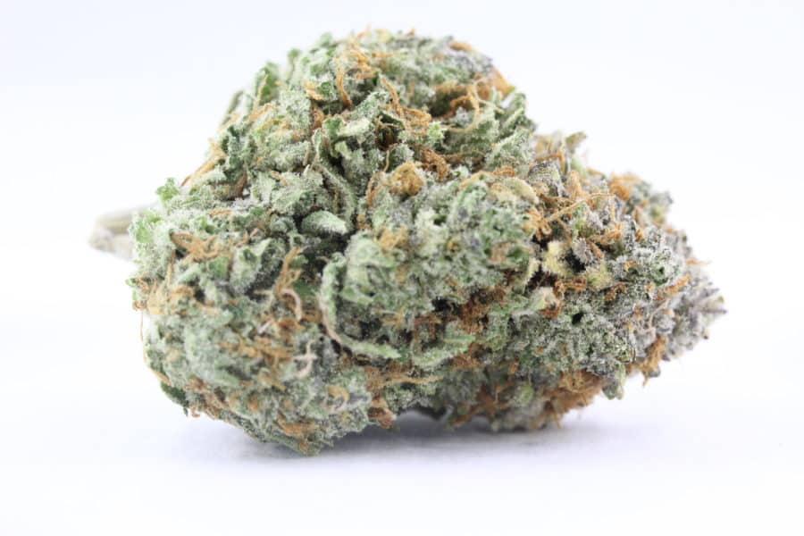 Apple Jack Cannabis Strain