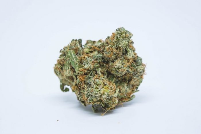 Alien Kush Marijuana Strain