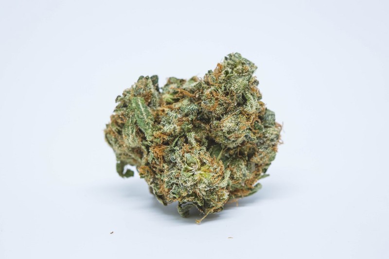 Alien Kush Marijuana Strain