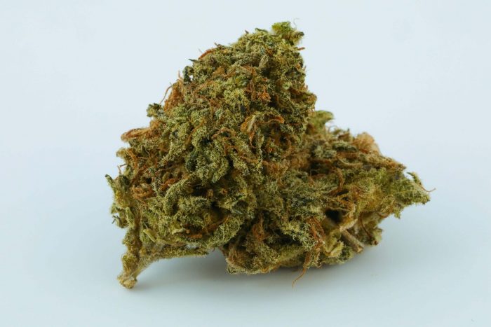 Black Domina Marijuana Strain