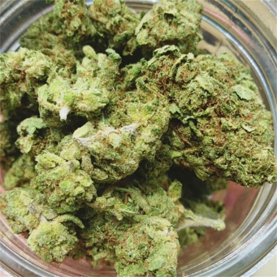 Green Dragon Marijuana Strain