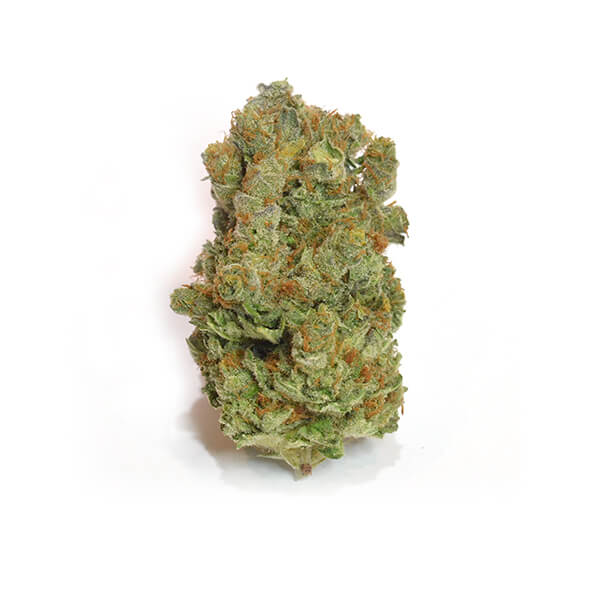 Blue Widow Marijuana Strain UK