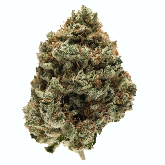 Kosher Kush Marijuana Strain