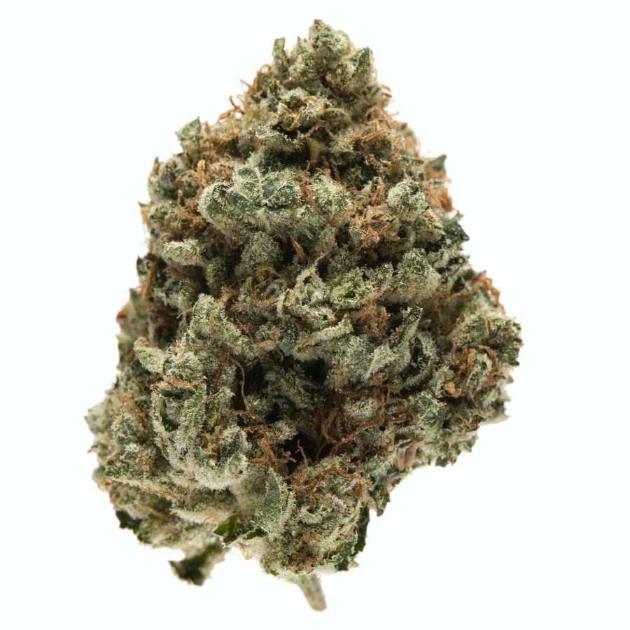 Kosher Kush Marijuana Strain