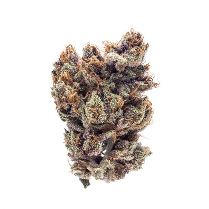 Buy Plum Weed Strain UK