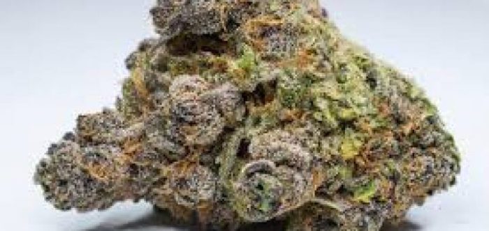 Jericho Haze Marijuana Strain