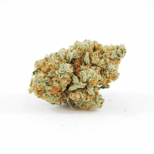 Kush Berry Marijuana Strain UK