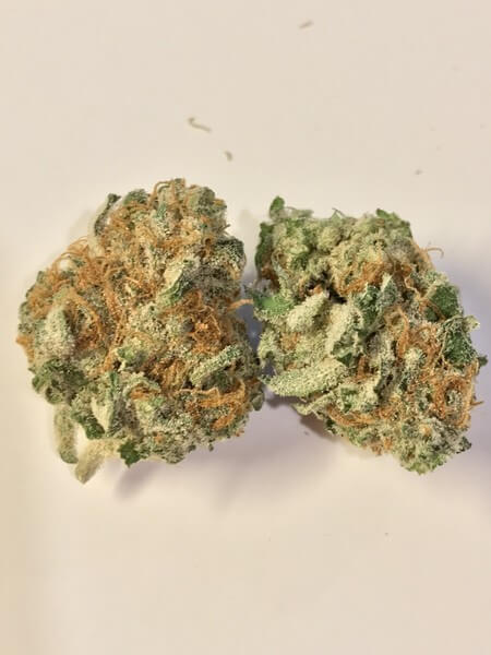 Chernobyl Cannabis Strain