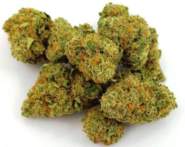 Infinite Euphoria Marijuana Strain