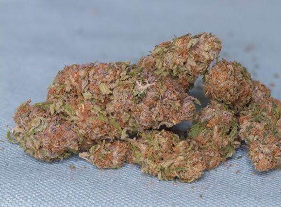 Heavy Hitter Marijuana Strain