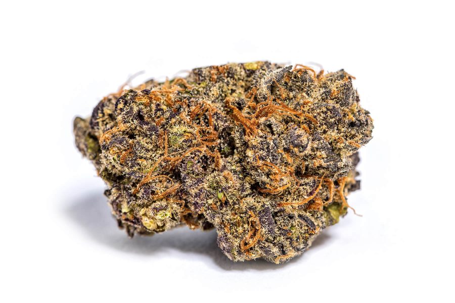 Tang Tang Marijuana Strain