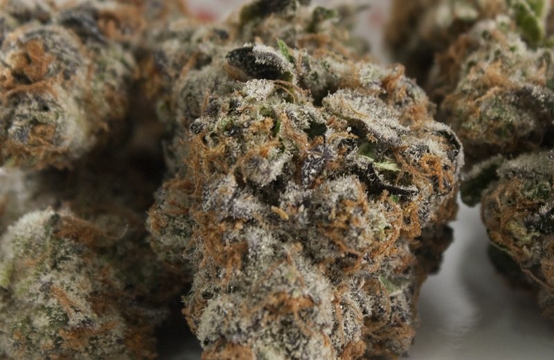 Platinum Girl Scout Cookies Strain