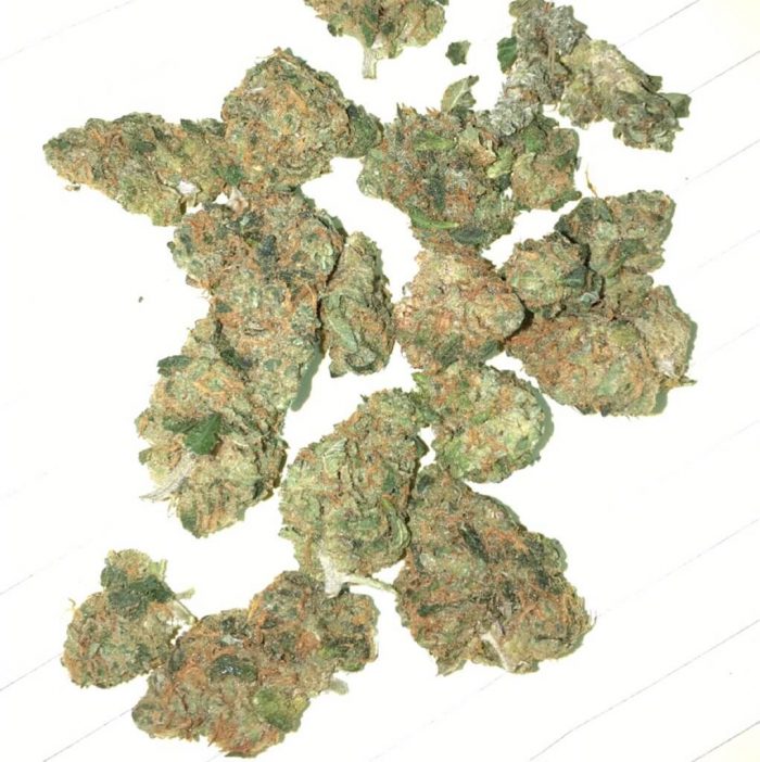 Canna-Tsu Marijuana Strain