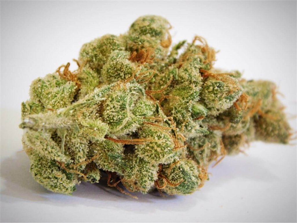 Clementine Marijuana Strain UK