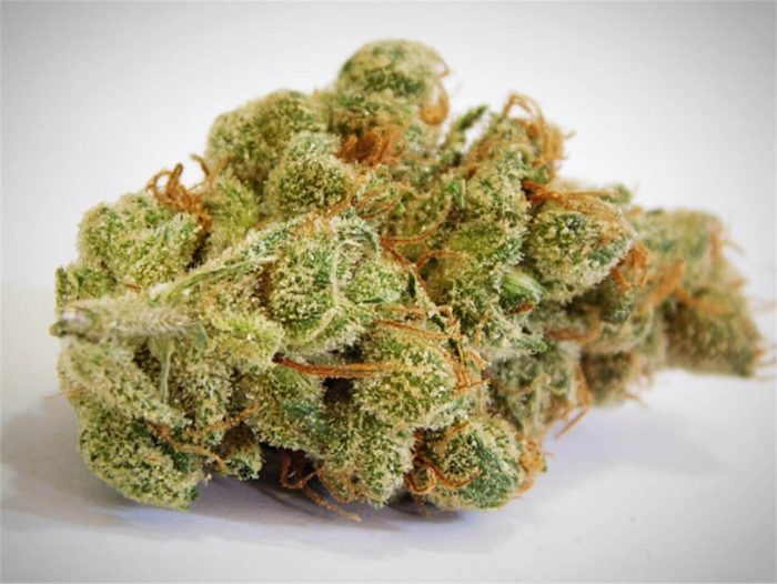 Clementine Marijuana Strain UK