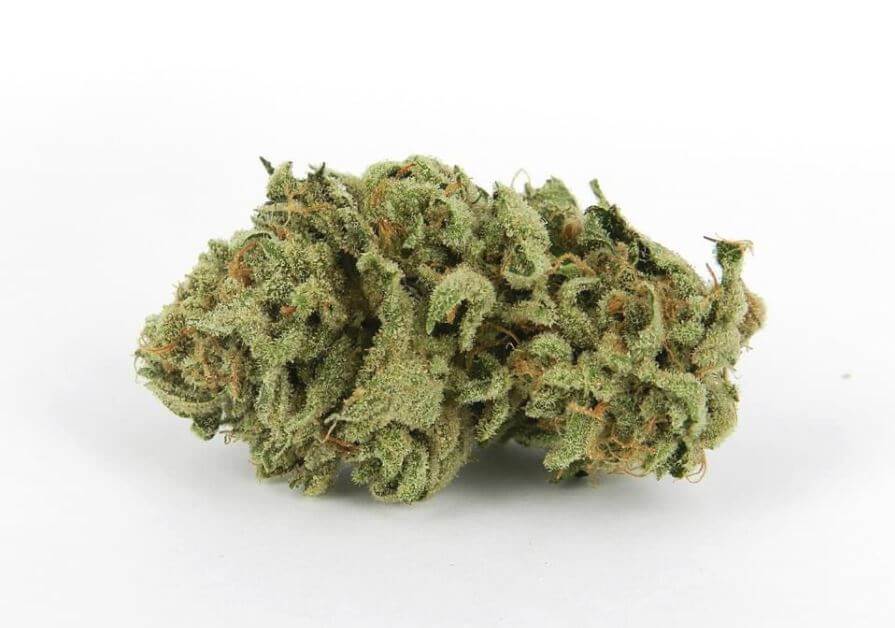 Sour OG Cannabis Strain