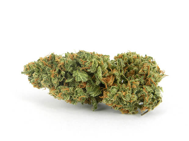 Buy XJ-13 Cannabis Strain