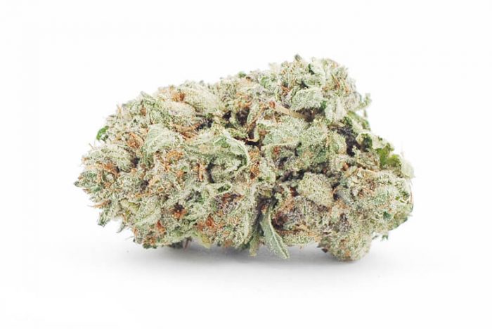 Buy Holy Grail Marijuana Strain