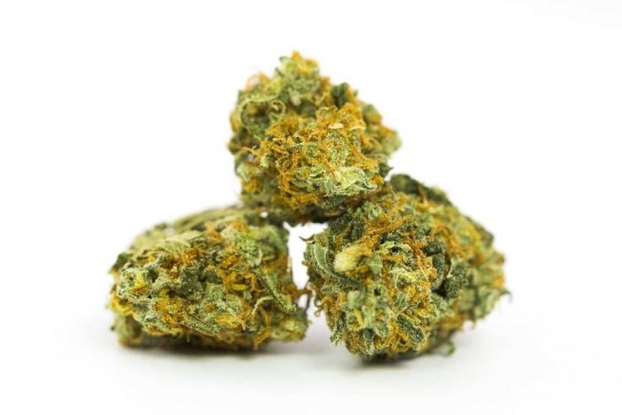 Buy Hog Cannabis Strain UK