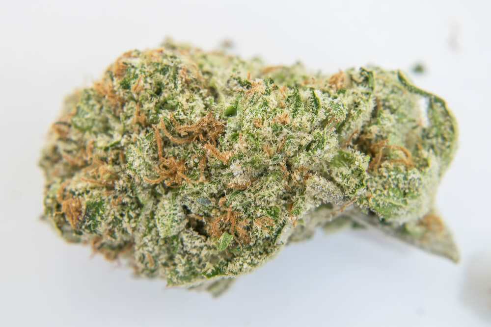 Buy OG Kush Marijuana Strain